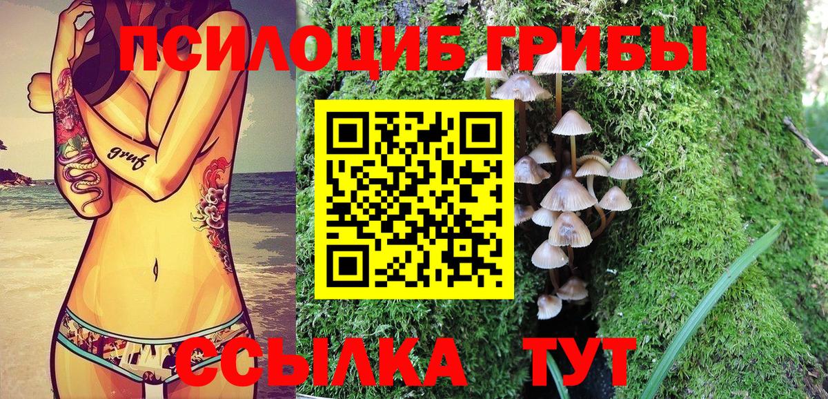 Псилоцибиновые грибы Psilocybe Набережные Челны