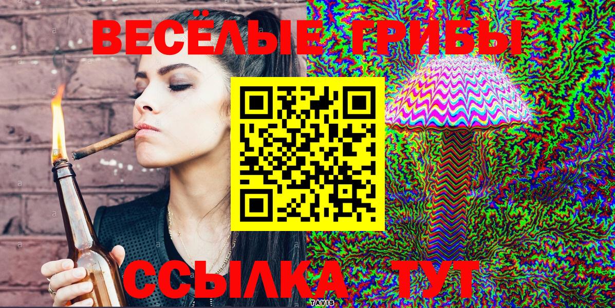 Псилоцибиновые грибы Psilocybine cubensis  Вход с VPN  Псилоцибиновые грибы Psilocybe  Набережные Челны 